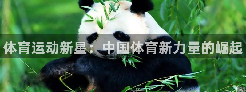 欧亿体育官方正版app集团logo:体育运动新星:中国体育新