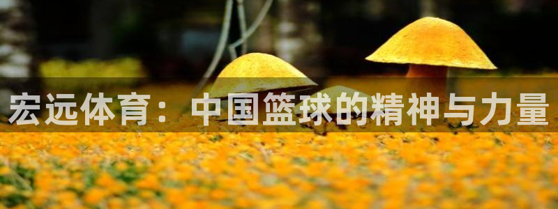 oety欧亿体育官网下载平台注册要钱吗是真的吗:宏远体育:中