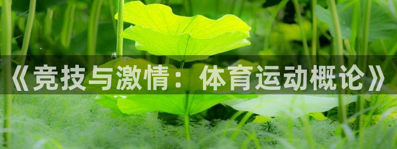 oety欧亿体育官网下载招商电话号码是多少号:《竞技与激情: