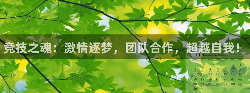 注册欧亿体育官方正版app:竞技之魂:激情逐梦,团队合作,超